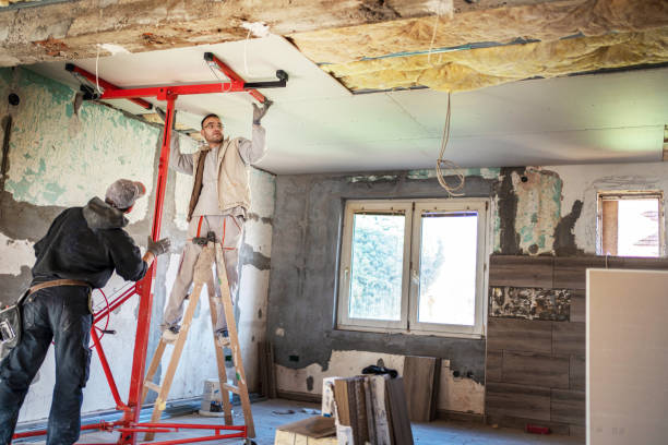 Best Spray Foam Insulation in Woodbine, IA