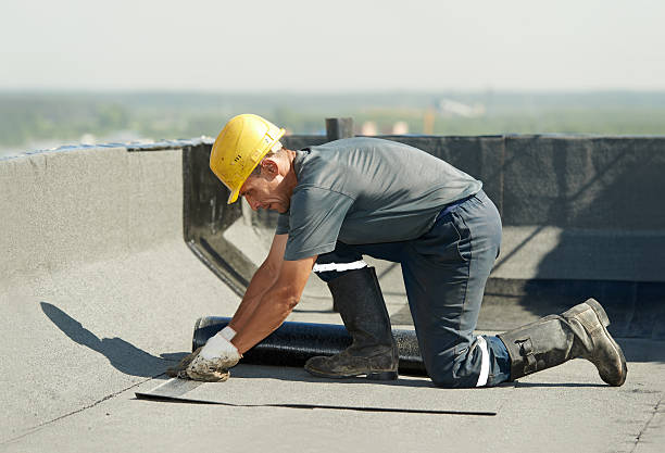 Best Geographic-Specific Insulation Services in Woodbine, IA